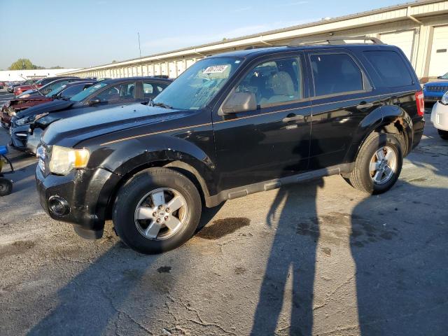 2010 FORD ESCAPE XLT, 