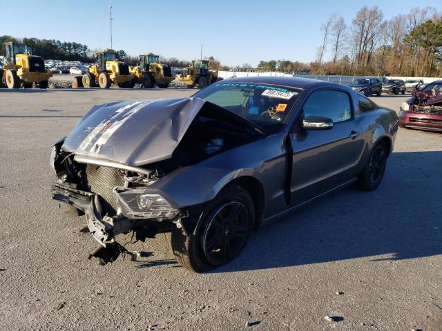 1ZVBP8AM2E5282346 - 2014 FORD MUSTANG GRAY photo 1