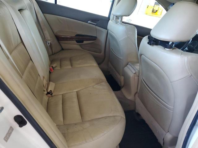 1HGCP36898A069560 - 2008 HONDA ACCORD EXL 白色 照片 10