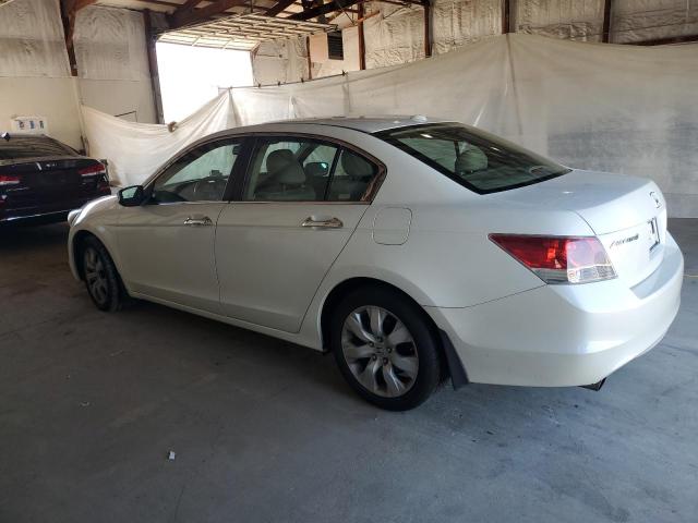 1HGCP36898A069560 - 2008 HONDA ACCORD EXL 白色 照片 2