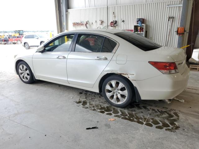 1HGCP368X8A069325 - 2008 HONDA ACCORD EXL WHITE photo 2