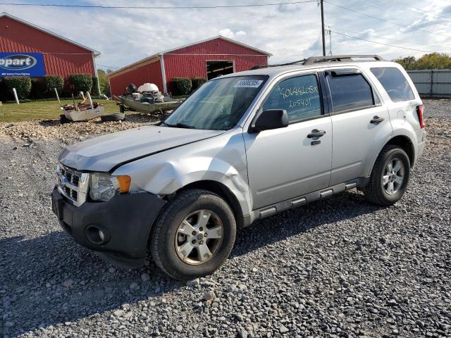 2010 FORD ESCAPE XLT, 