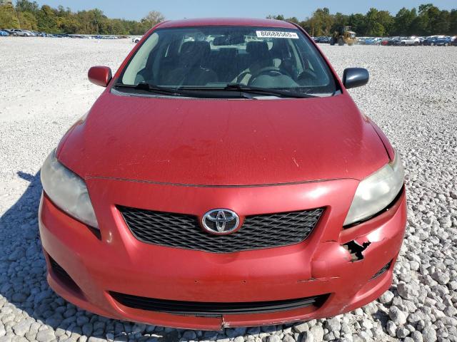 2T1BU4EE4AC304125 - 2010 TOYOTA COROLLA BASE 红色 照片 5