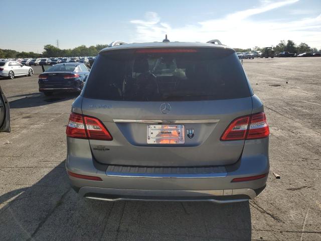 4JGDA5JB5EA423858 - 2014 MERCEDES-BENZ ML 350 ვერცხლისფერი ფოტო 6