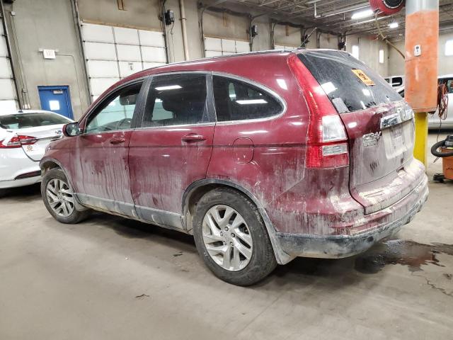 5J6RE4H75BL019446 - 2011 HONDA CR-V EXL RED photo 2