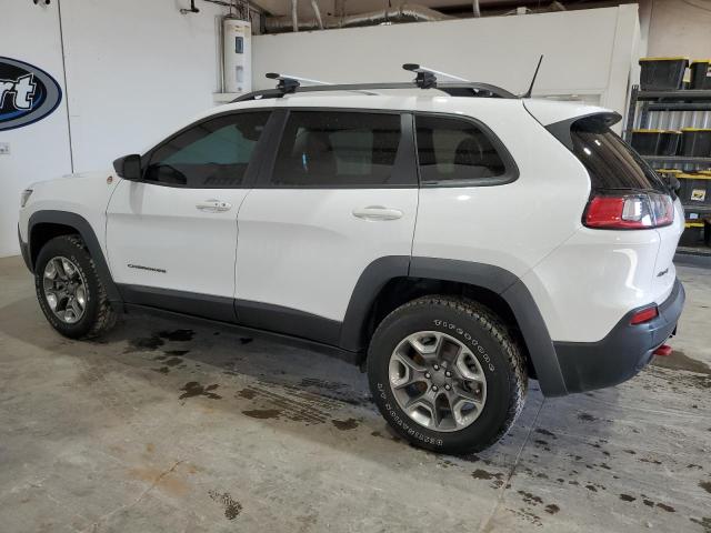 1C4PJMBN4KD489302 - 2019 JEEP CHEROKEE TRAILHAWK 白色 照片 2
