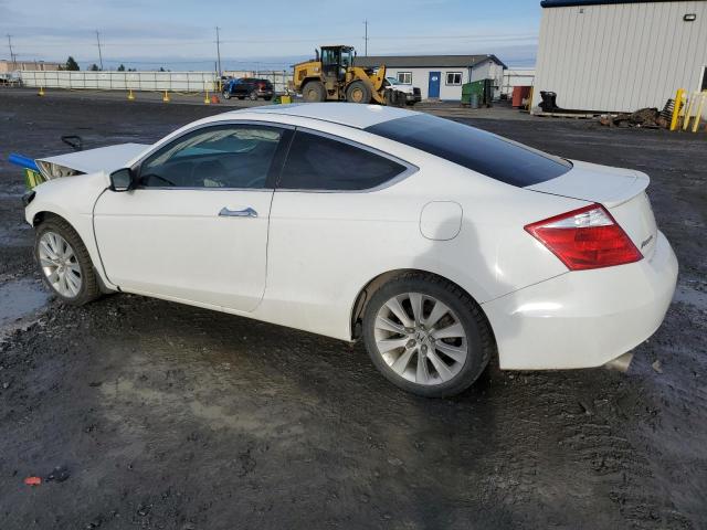 1HGCS22889A800642 - 2009 HONDA ACCORD EXL WHITE photo 2