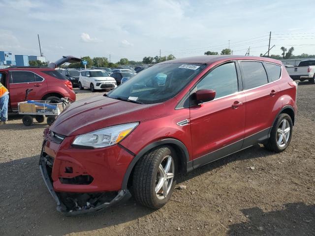 2014 FORD ESCAPE SE, 