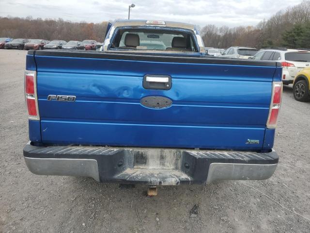 1FTMF1EW8AKE10151 - 2010 FORD F150 BLUE photo 6