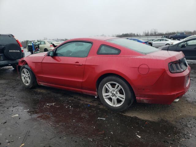 1ZVBP8AM7D5268778 - 2013 FORD MUSTANG RED photo 2