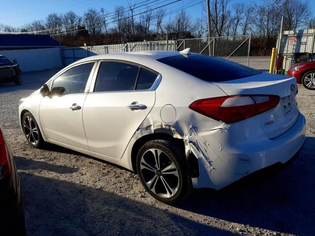 KNAFX4A87G5522359 - 2016 KIA FORTE EX WHITE photo 2