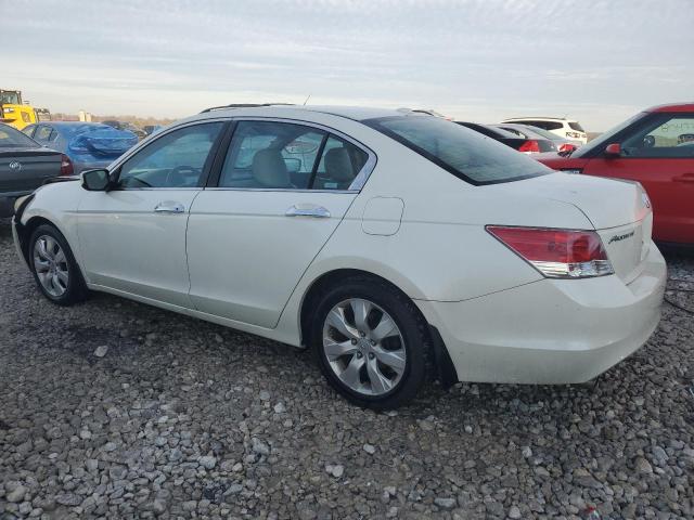 1HGCP36878A049985 - 2008 HONDA ACCORD EXL WHITE photo 2