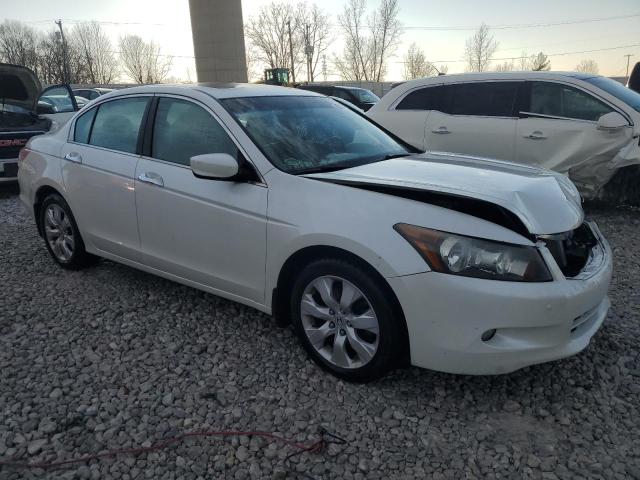 1HGCP36878A049985 - 2008 HONDA ACCORD EXL WHITE photo 4