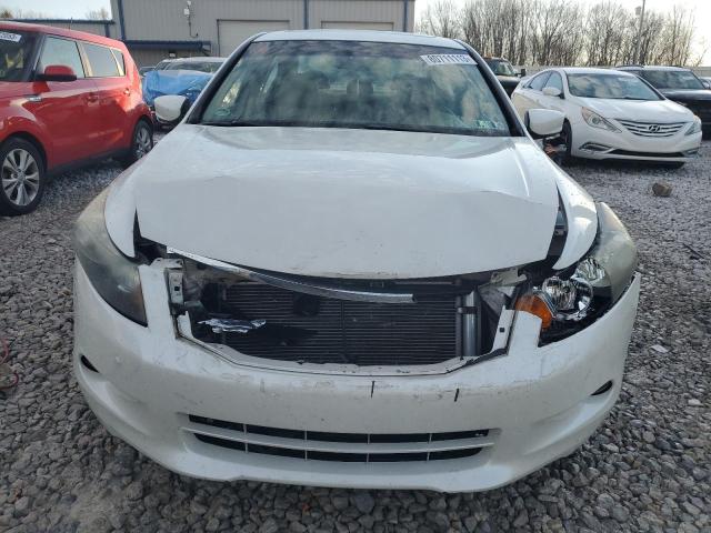 1HGCP36878A049985 - 2008 HONDA ACCORD EXL WHITE photo 5