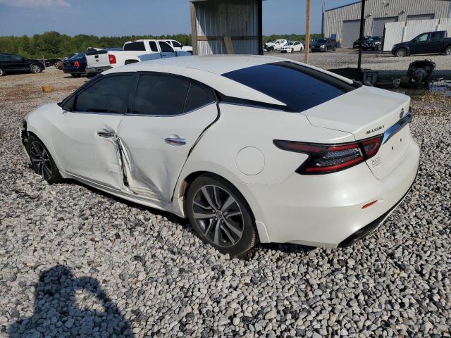 1N4AA6AV4KC377405 - 2019 NISSAN MAXIMA S Ağ foto 2