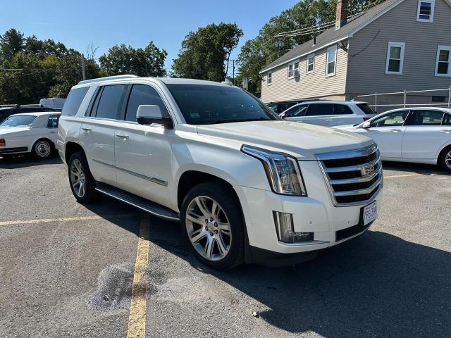 1GYS4MKJ4FR597985 - 2015 CADILLAC ESCALADE LUXURY თეთრი ფოტო 4