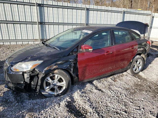 1FADP3F28DL242049 - 2013 FORD FOCUS SE RED photo 1