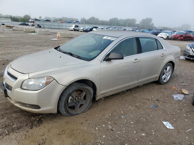 2010 CHEVROLET MALIBU LS, 