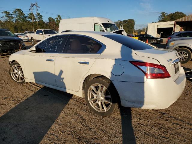 1N4AA5AP2BC843862 - 2011 NISSAN MAXIMA S WHITE photo 2