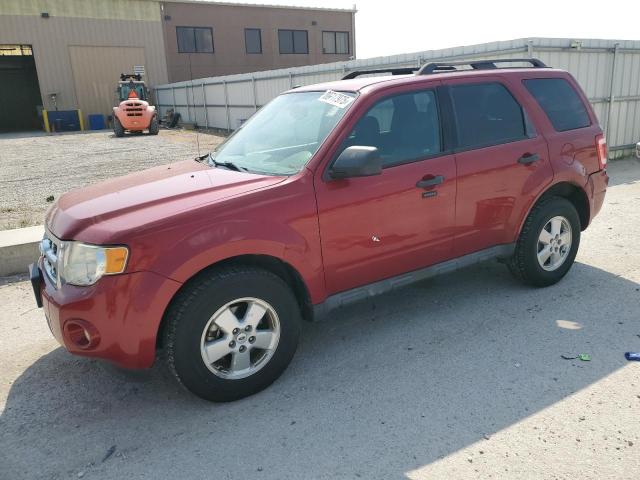 2011 FORD ESCAPE XLT, 