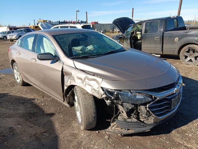 1G1ZB5ST5NF117236 - 2022 CHEVROLET MALIBU LS TAN photo 4