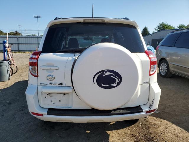 2T3BF4DV1AW061357 - 2010 TOYOTA RAV4 WHITE photo 6