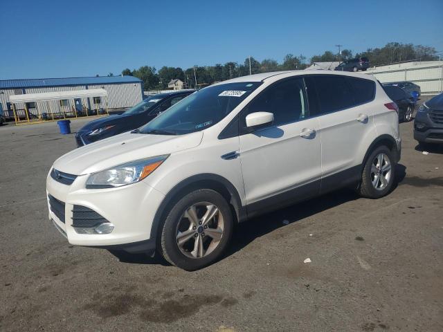 2014 FORD ESCAPE SE, 