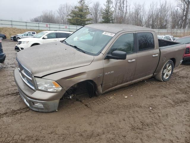 1D3HV13TX9S779920 - 2009 DODGE RAM 1500 TAN photo 1