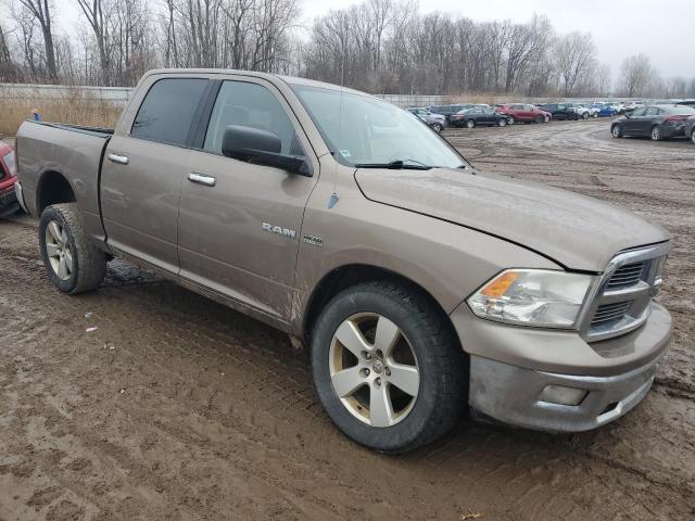 1D3HV13TX9S779920 - 2009 DODGE RAM 1500 TAN photo 4