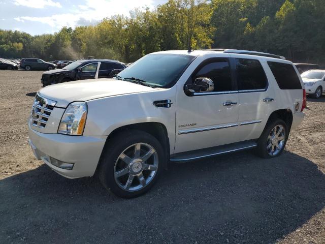 2011 CADILLAC ESCALADE LUXURY, 