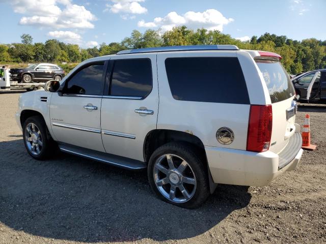 1GYS4BEFXBR147179 - 2011 CADILLAC ESCALADE LUXURY Білий фото 2