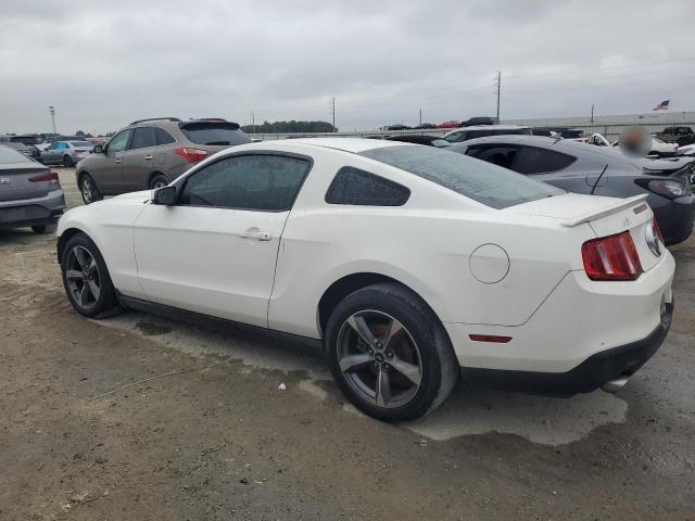 1ZVBP8AM2C5274647 - 2012 FORD MUSTANG WHITE photo 2