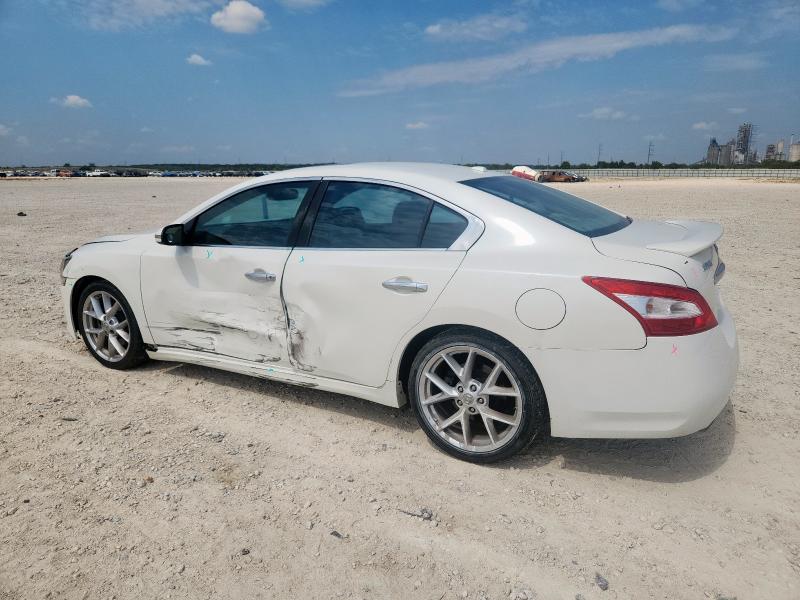 1N4AA51E79C806931 - 2009 NISSAN MAXIMA S WHITE photo 2