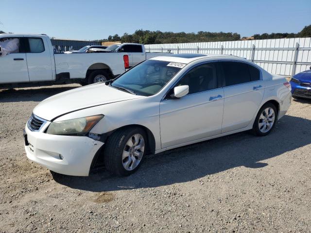 2010 HONDA ACCORD EXL, 