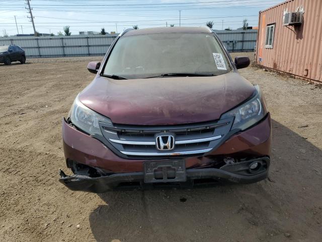 5J6RM4H72DL039398 - 2013 HONDA CR-V EXL BURGUNDY photo 5