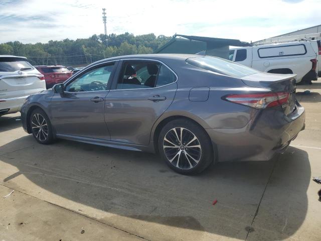 4T1B11HK8KU247548 - 2019 TOYOTA CAMRY L GRAY photo 2