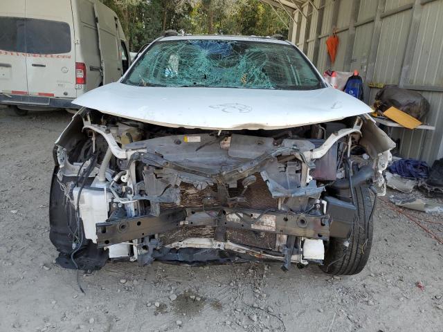 2T3WFREV4EW097997 - 2014 TOYOTA RAV4 XLE WHITE photo 5