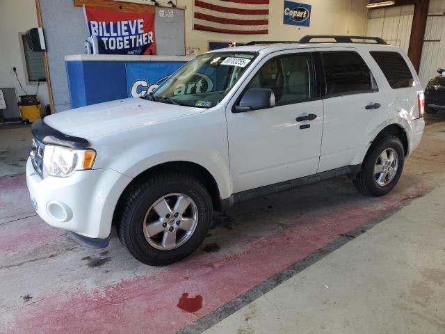 2009 FORD ESCAPE XLT, 