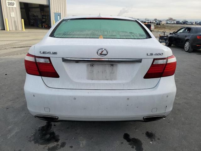 JTHBL46F675003838 - 2007 LEXUS LS 460 WHITE photo 6