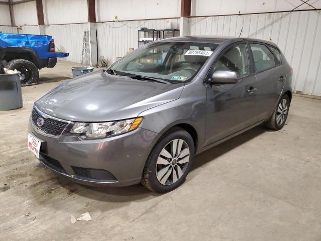 KNAFU5A25D5728222 - 2013 KIA FORTE EX GRAY photo 1