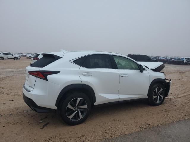 JTJYARBZ9K2127317 - 2019 LEXUS NX 300 BASE 白色 照片 3