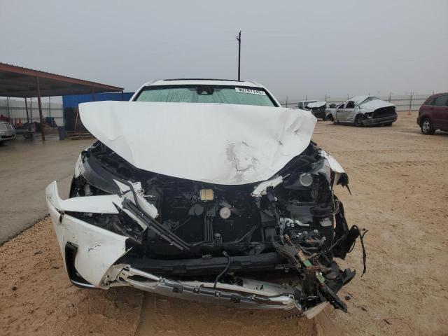 JTJYARBZ9K2127317 - 2019 LEXUS NX 300 BASE 白色 照片 5