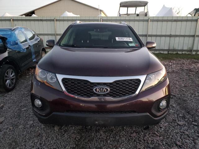 5XYKTCA1XBG054170 - 2011 KIA SORENTO BASE MAROON photo 5