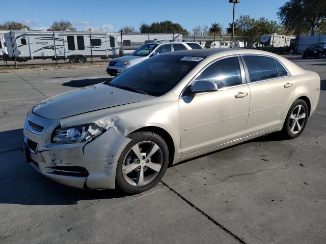 1G1ZC5EB5AF268717 - 2010 CHEVROLET MALIBU 1LT GOLD photo 1