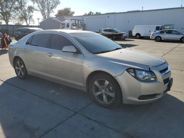 1G1ZC5EB5AF268717 - 2010 CHEVROLET MALIBU 1LT GOLD photo 4