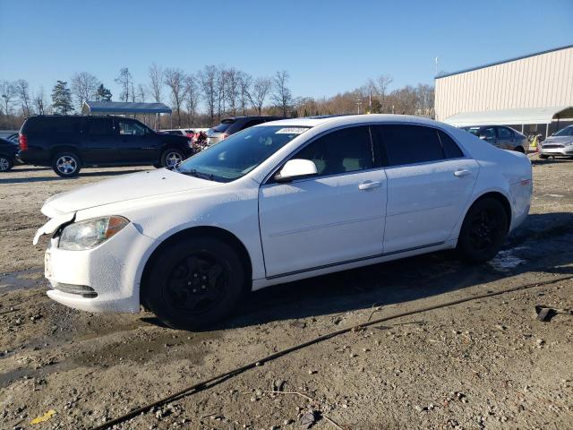 1G1ZC5E13BF266439 - 2011 CHEVROLET MALIBU 1LT WHITE photo 1