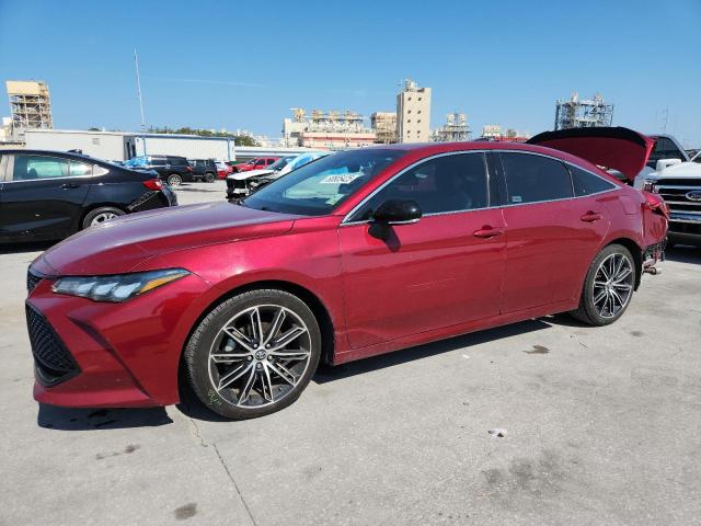 2019 TOYOTA AVALON XLE, 