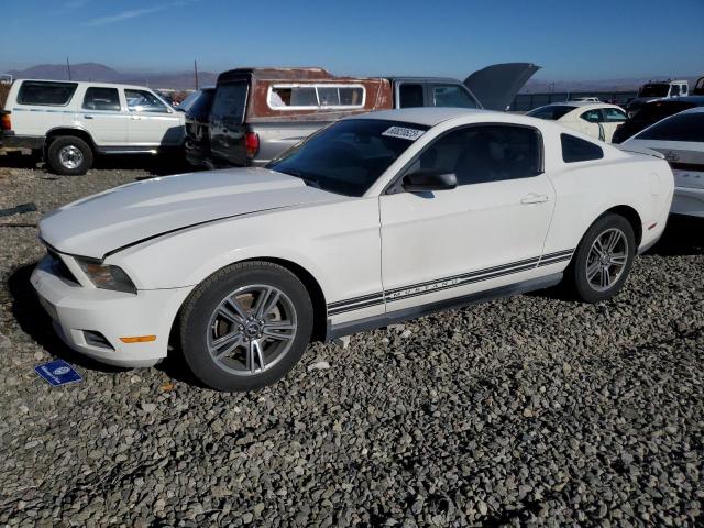 1ZVBP8AN0A5140354 - 2010 FORD MUSTANG WHITE photo 1