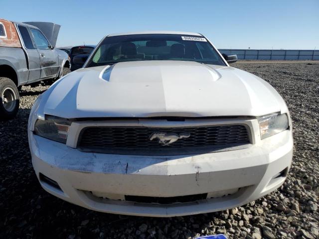 1ZVBP8AN0A5140354 - 2010 FORD MUSTANG WHITE photo 5