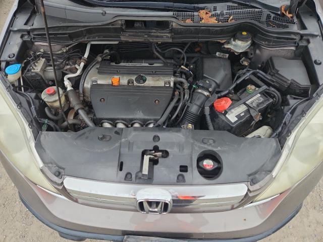 5J6RE48579L013835 - 2009 HONDA CR-V EX თაფლისფერი ფოტო 12
